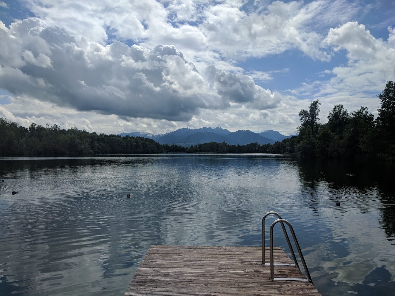 am_happingersee4.jpg