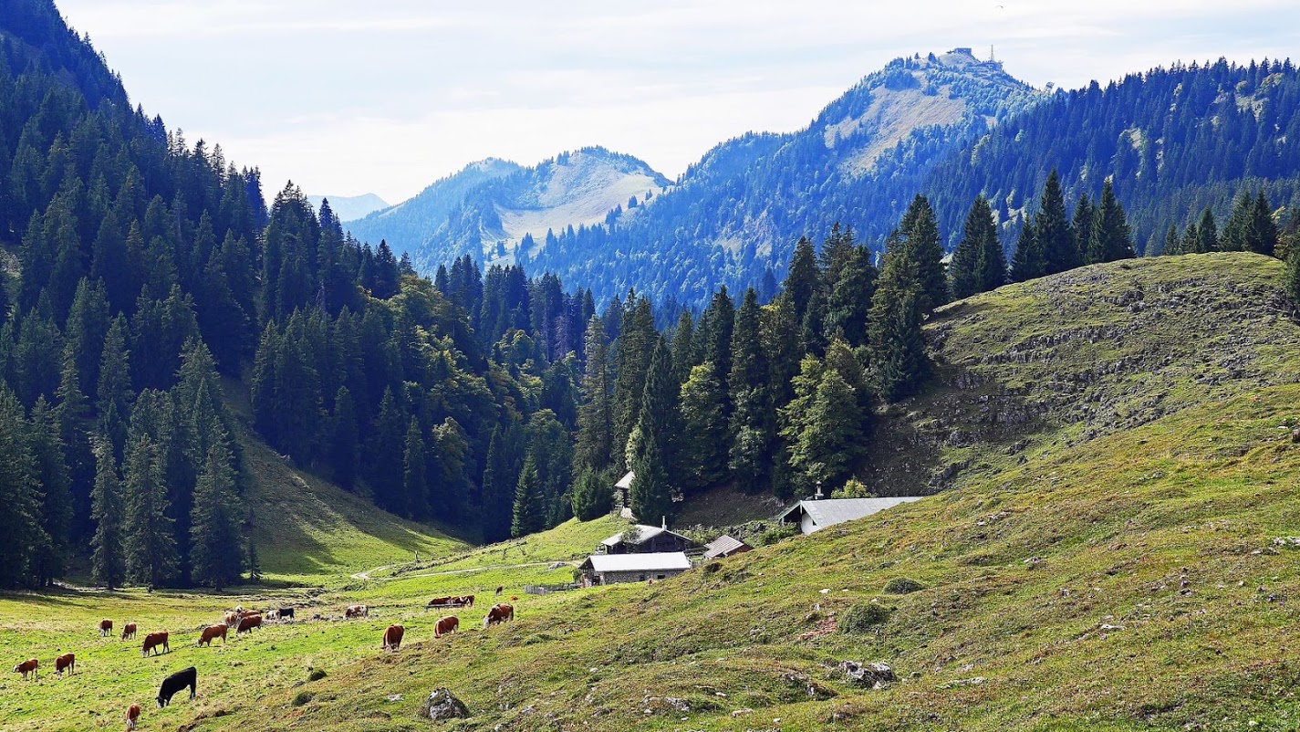 die_laubensteinalm_dahinter_die_hochries.jpg