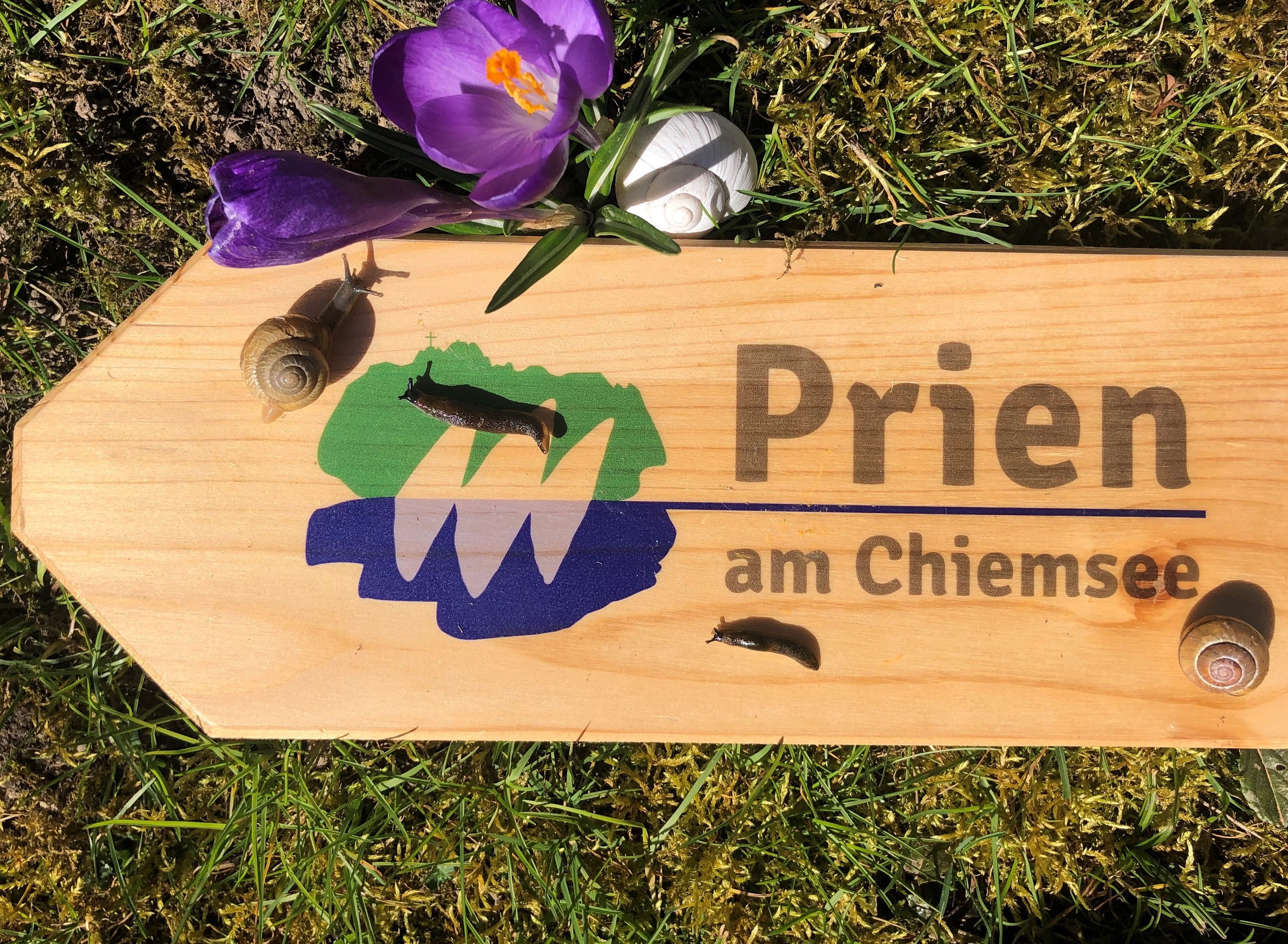 schneckenwanderung_05_c-prima.jpg