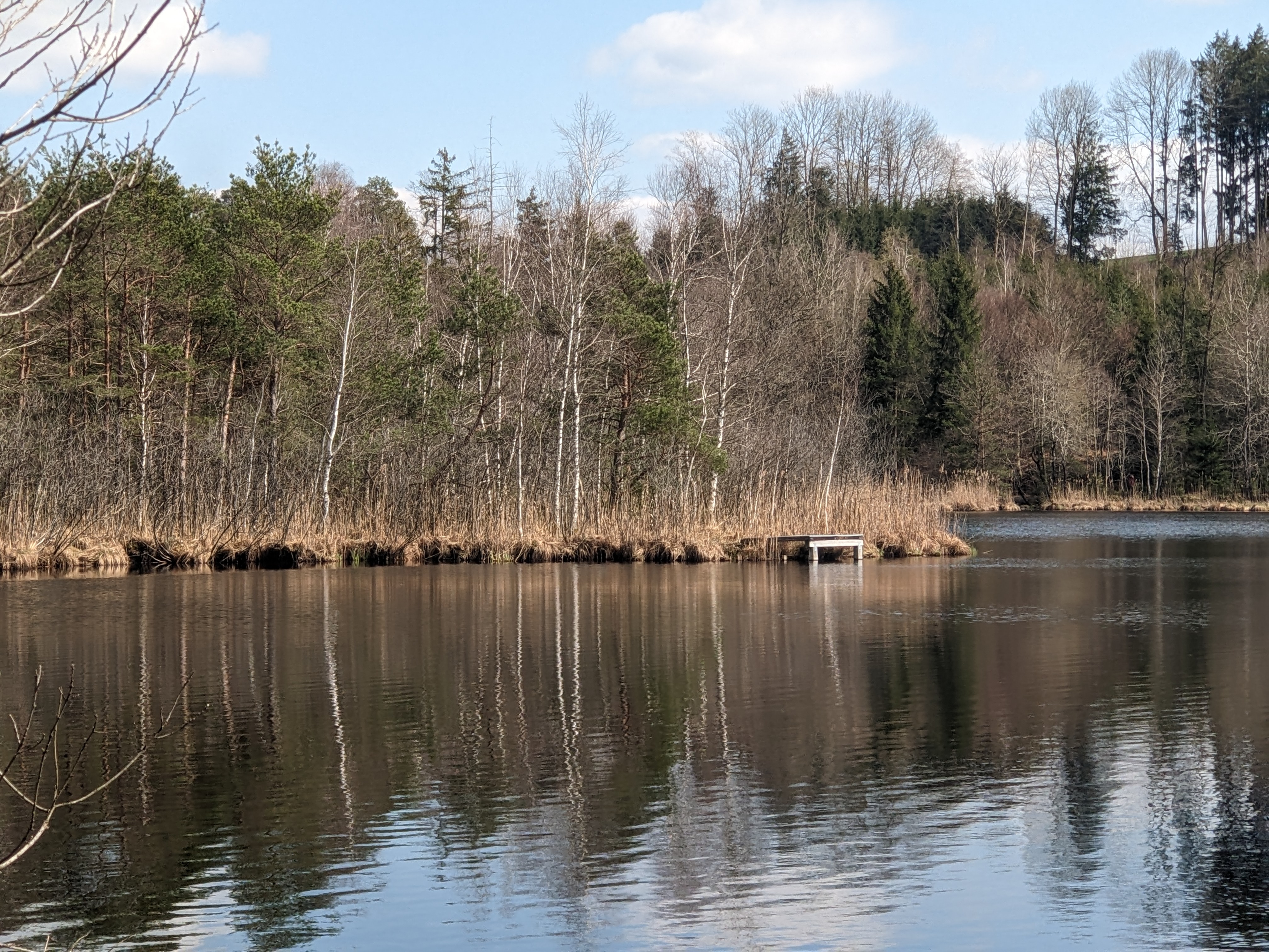 siferlingersee2.jpg