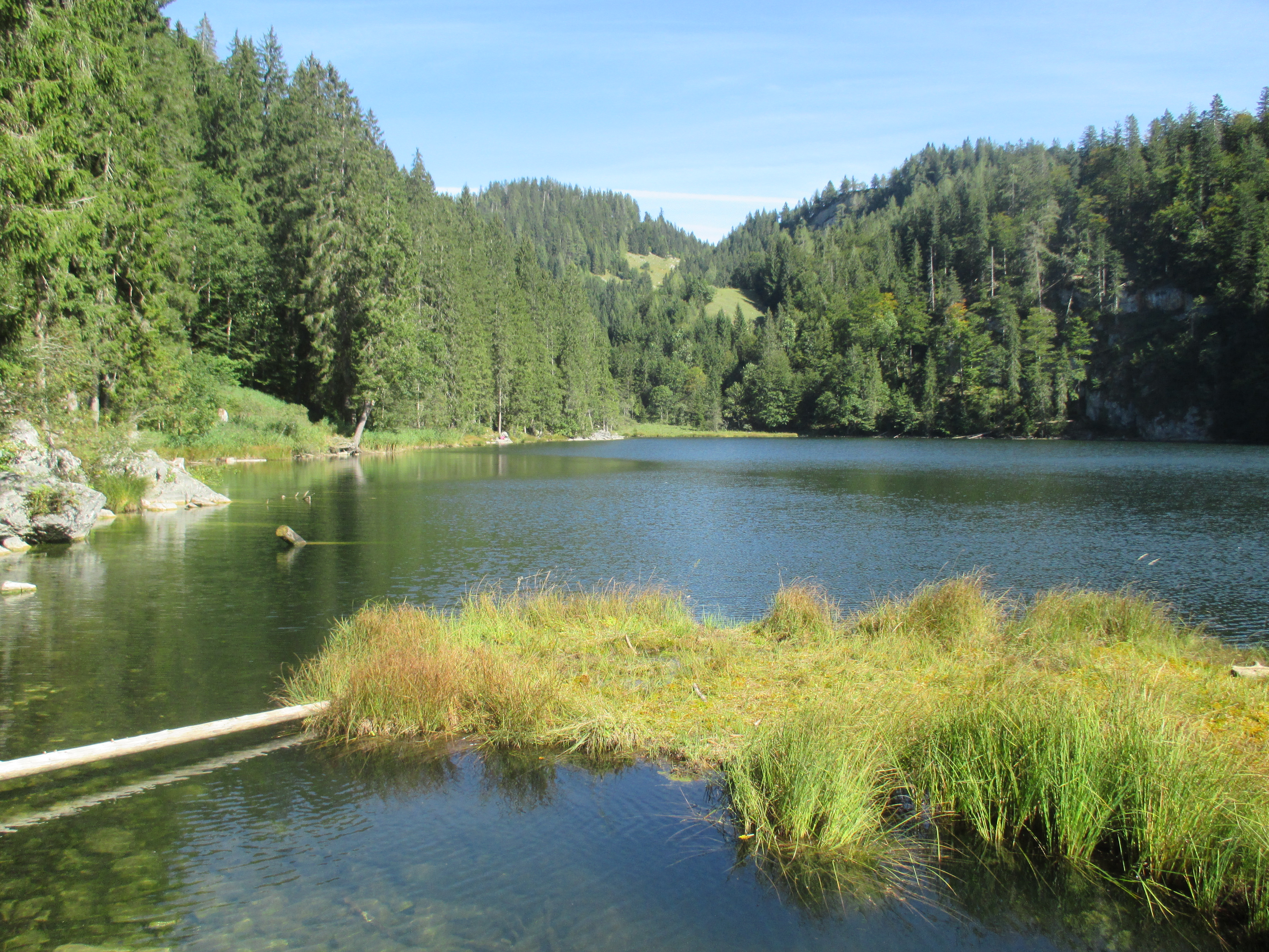 taubensee.jpg